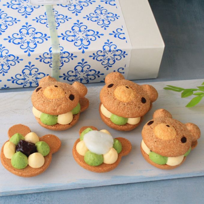 【6個】グリーンハーモニー  テディパフィ― 2