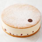 最高級洋菓子 ケーゼザーネトルテ レアチーズケーキ 15cm  1