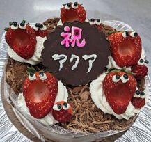 ハッピー5号 15cmチョコレートデコレーションケーキ 
