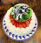 オーダーメイドプリントクッキー飾り・苺のデコレーションケーキ/ バニラ生クリーム  4号 12cm 2