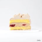 「GENIC」クリスマスケーキ(チョコレート) 5