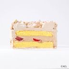 「GENIC」クリスマスケーキ(チョコレート) 4