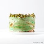 「最強王図鑑」プリントホールケーキ 5号 3