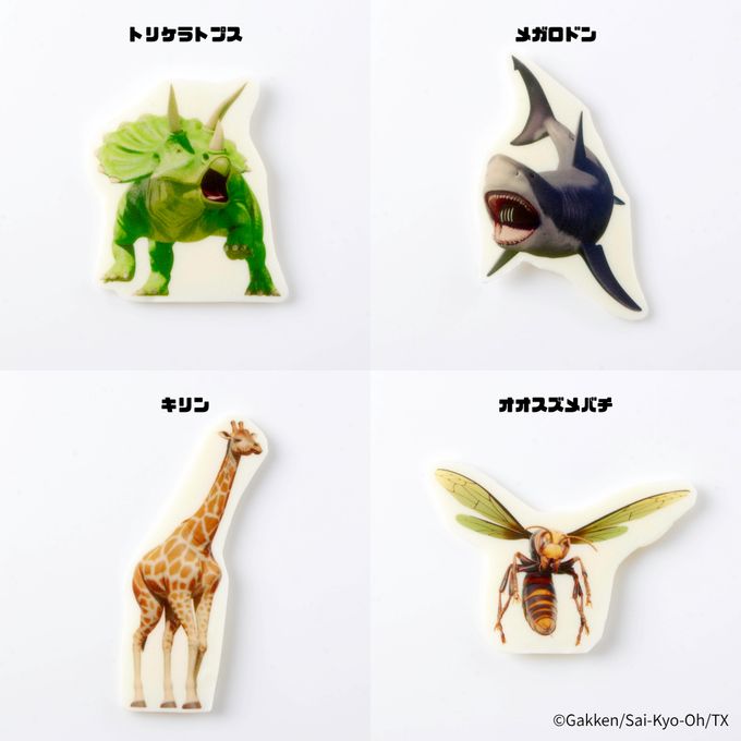 「最強王図鑑」ホールケーキ 5号 8