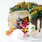 「最強王図鑑」ホールケーキ 4号 3