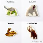 「最強王図鑑」ホールケーキ 5号 9