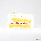 「GENIC」クリスマスケーキ(ショートケーキ) 4