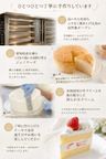 【リニューアル】 不思議の国 アリス 6号 誕生日ケーキ 子供 当日 誕生日 スイーツ プレゼント ギフト 冷凍ケーキ 女の子 即日 プレゼント バースデーケーキ お祝い 内祝い 可愛いケーキ ホール レインボー ケーキ キャラクター チェシャ猫 7