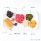 「最強王図鑑」オリジナルクッキー缶 2