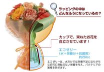 花束構造 7