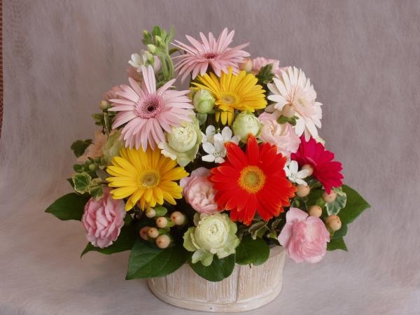 フルーツケーキミックス・ワンサイド【花 フラワーギフト