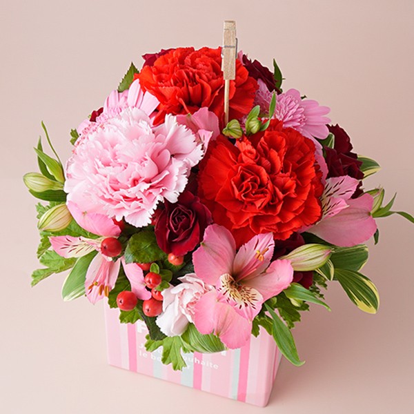 母の日アレンジメント【】 （フラワーギフト Flower Design