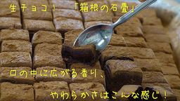 生チョコ 「箱根の石畳」 （小） 2