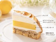 【夏限定】爽快レモンタルト  15cm 【洋酒入り 檸檬とキルシュの調和を愉しんでください】 3