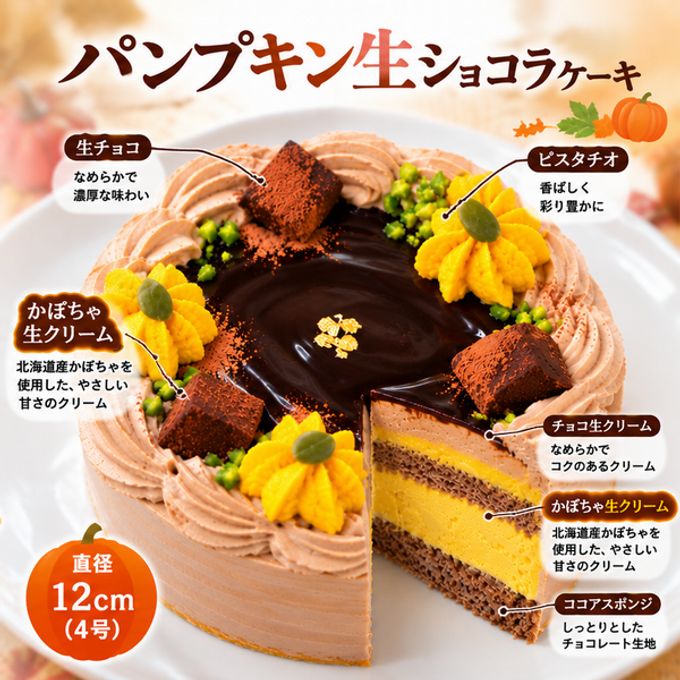NEW パンプキン生ショコラ 3号｜室温で半解凍、外はふんわり、中はひんやりとした新食感 かぼちゃ×濃厚チョコレートケーキ  1