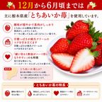 NEW ピンク色の純 生クリーム 苺 ケーキ 3号 半解凍でとろける（室温で半解凍していただくと、外はふんわり、中はひんやりとした食感をお楽しみいただけます）北海道純生クリーム・小麦粉 バースデーケーキ お誕生日ケーキ #ふわひん純生いちご 3