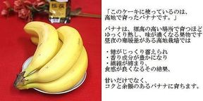 new：バナナたっぷり生クリーム フローズンケーキ 3号 （キャンドル付き）北海道の生クリーム・小麦粉・バター100％使用 お急ぎ便対応  お試し価格品 2