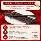 NEW 苺 チョコレートケーキ 10号 半解凍でとろける（室温で半解凍していただくと、外はふんわり、中はひんやりとした食感をお楽しみいただけます）濃厚クーベルチュールチョコ #ふわひん純生いちご 4