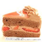 キャラデコパーティーケーキ 王様戦隊キングオージャー 2023バンダイ チョコ生クリーム苺サンドケーキ 北海道生クリーム/小麦粉/バター 2