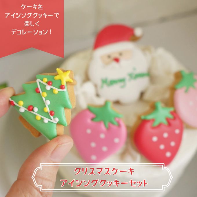 【早期ご注文プレゼントあり☆】クリスマスケーキアイシングクッキーセット5号 shiramon 2