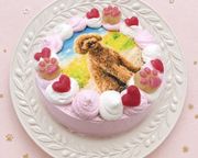 選べる6色のカラフルクリーム！わんこ・にゃんこフォトケーキ 3号 9cm 3