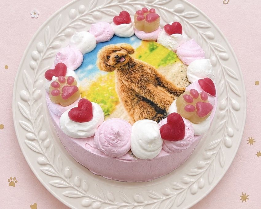 選べる6色のカラフルクリーム！わんこ・にゃんこフォトケーキ 3号 9cm 3