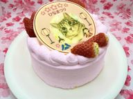 ひなまつり わんこ＆にゃんこポップアップ写真ケーキ 3号 9cm ひな祭り2026 5