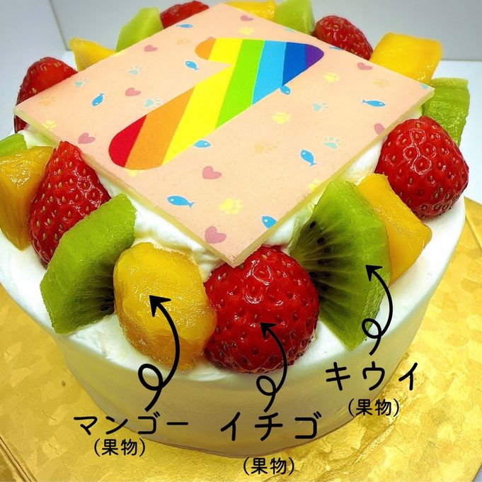 ねこ用 デコ盛りニャンコ Number Birthday cake 4号 12cm 4