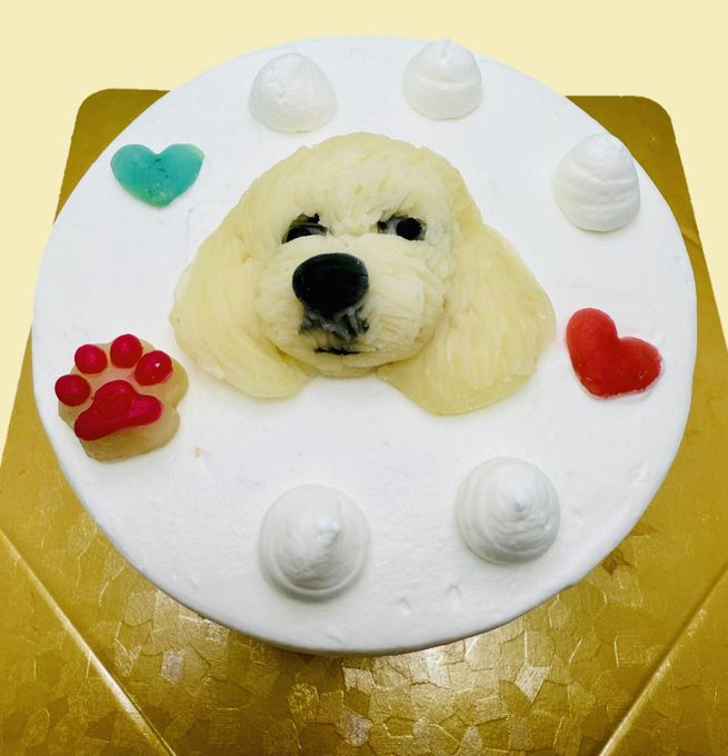  選べるクリーム お写真がそのままお顔に！わんこ立体顔ケーキ3号 9cm 3