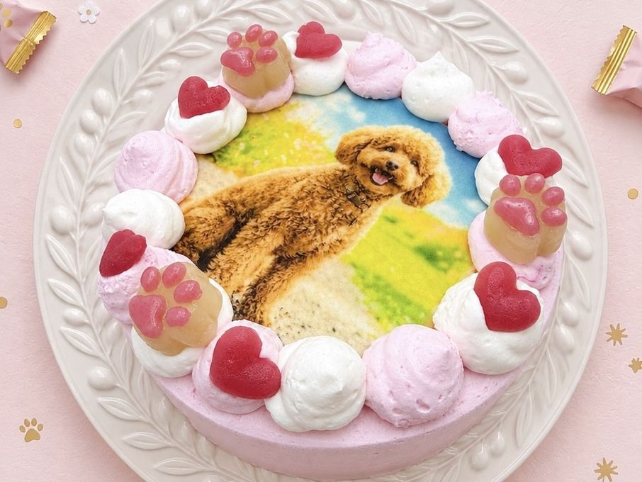 選べる6色のカラフルクリーム！わんこ・にゃんこフォトケーキ 3号 9cm 4