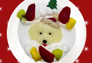 写真がそのままお顔に！クリスマスわんこ立体ケーキ 3号 9cm 室内犬用