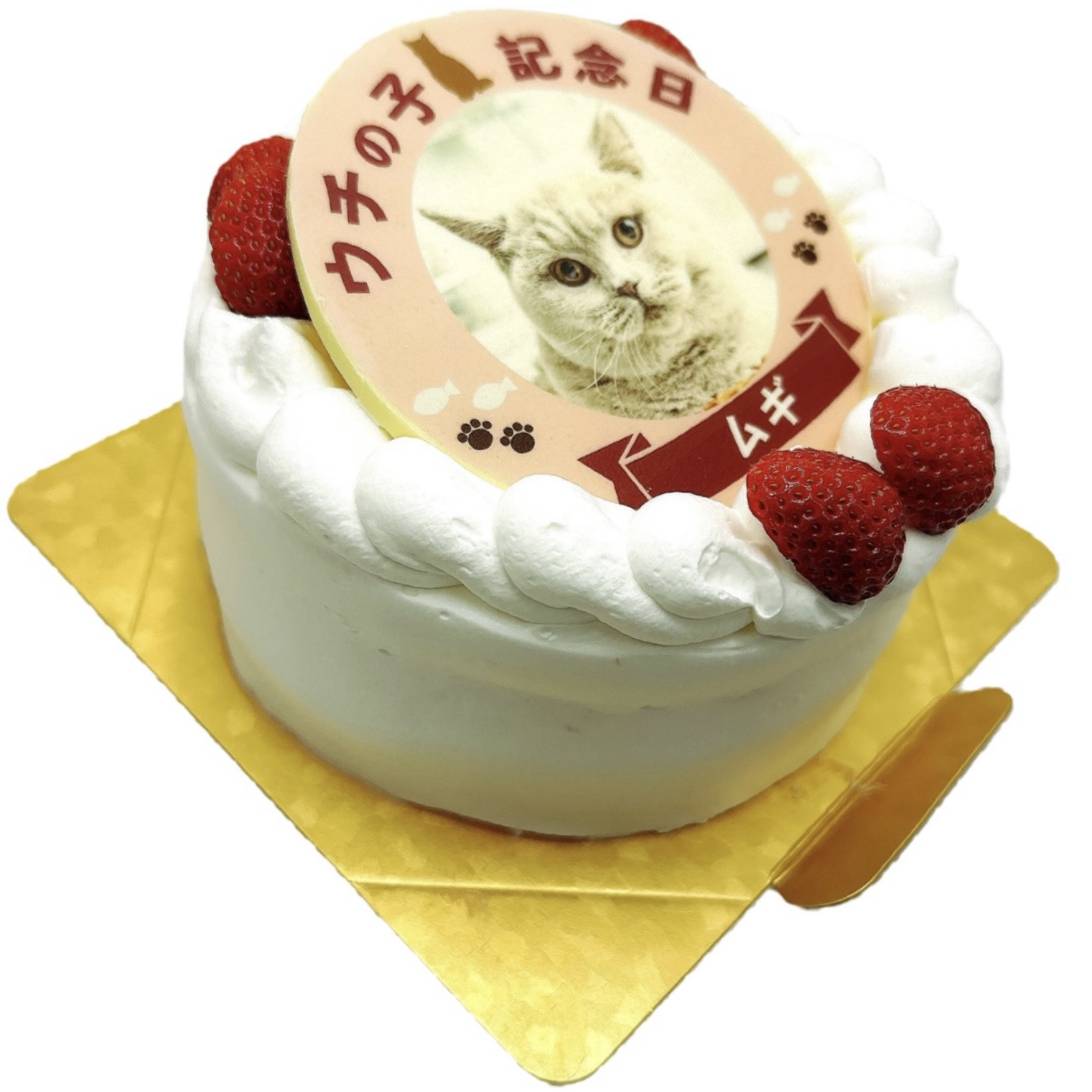 ねこ用 ポップアップニャンコ写真ケーキ 3号 9cm 4