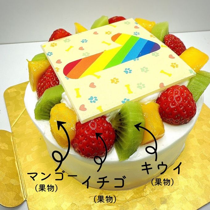 わんちゃん用EWP対応 中型犬用 デコ盛りワンコ Number Birthday cake 5号 15cm 4