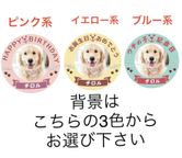 わんちゃん用EWP対応 室内犬用 ポップアップワンコ写真ケーキ 3号 9cm 3