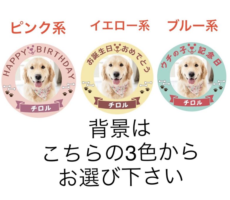 わんちゃん用EWP対応 室内犬用 ポップアップワンコ写真ケーキ 3号 9cm 3