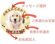 わんちゃん用EWP対応 小型犬用 ポップアップワンコ写真ケーキ 4号 12cm 2