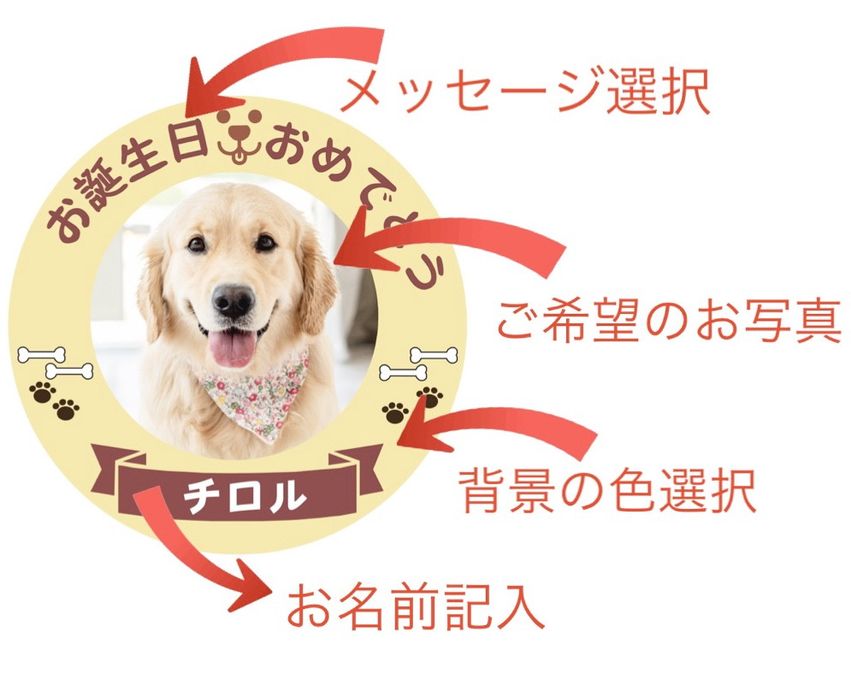 わんちゃん用EWP対応 中型犬用 ポップアップワンコ写真ケーキ 5号 15cm 2