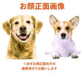 写真がそのままお顔に！クリスマスわんこ立体ケーキ 3号 9cm クリスマス2025 7