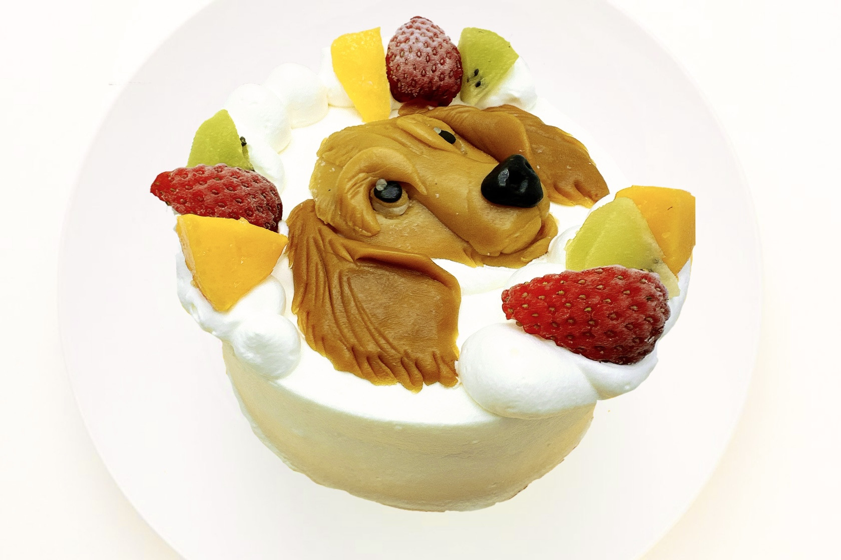 写真がそのままお顔に！わんこ立体ケーキ3号 9cm室内犬用（サプライズ