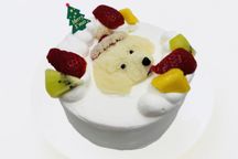 写真がそのままお顔に！クリスマスわんこ立体ケーキ 5号 15cm 大型用 クリスマス2024 3