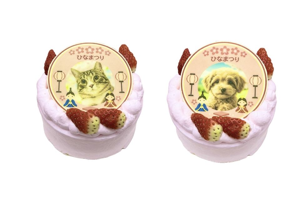 ひなまつり わんこ＆にゃんこポップアップ写真ケーキ 3号 9cm ひな祭り2026 2