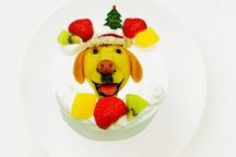 写真がそのままお顔に！クリスマスわんこ立体ケーキ 3号 9cm 室内犬用 クリスマス2024 2