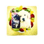 ペット用EWP対応 デコ盛りワンコ＆ニャンコ写真ケーキ4号 12cm 1