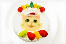 写真がそのままお顔に！クリスマスにゃんこ立体ケーキ 6号 18cm クリスマス2024 2