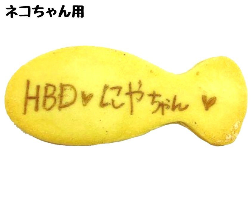 ねこ用 デコ盛りニャンコ Number Birthday cake 4号 12cm 6