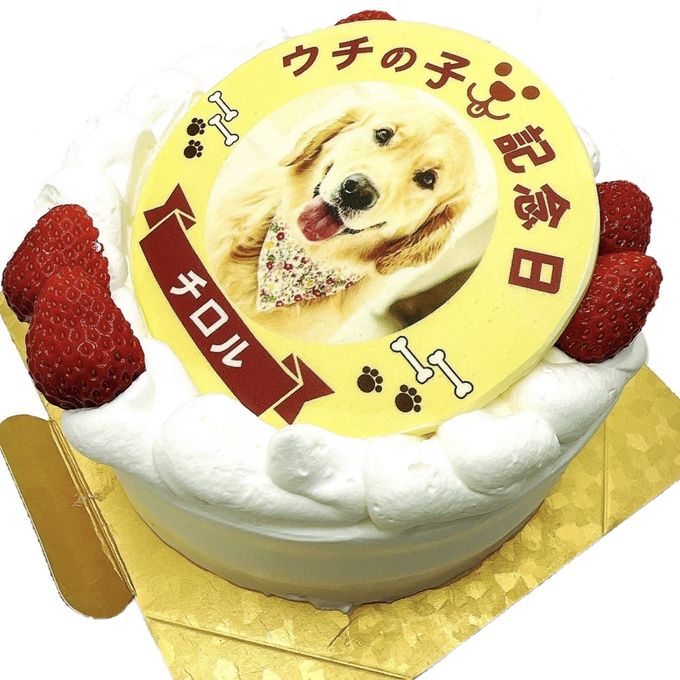わんちゃん用EWP対応 小型犬用 ポップアップワンコ写真ケーキ 4号 12cm 5