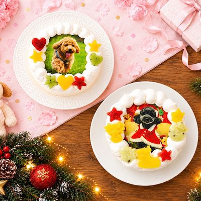 菓の香のワンワン写真ケーキ