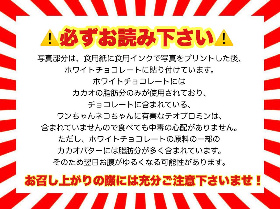 【EWP対応】クリスマス わんこ＆にゃんこポップアップ写真ケーキ 6号 18cm クリスマス2024 7