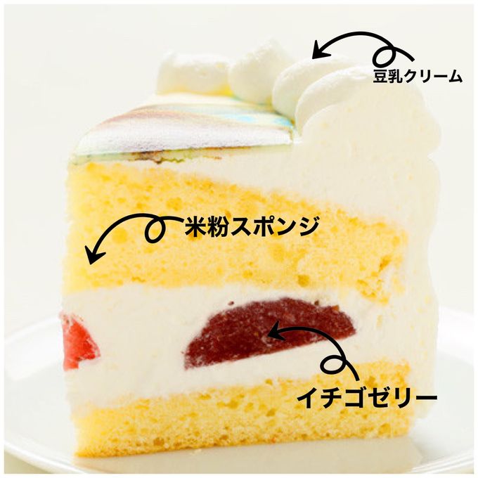 わんちゃん用EWP対応 小型犬用 デコ盛りワンコ Number Birthday cake 4号 12cm 5
