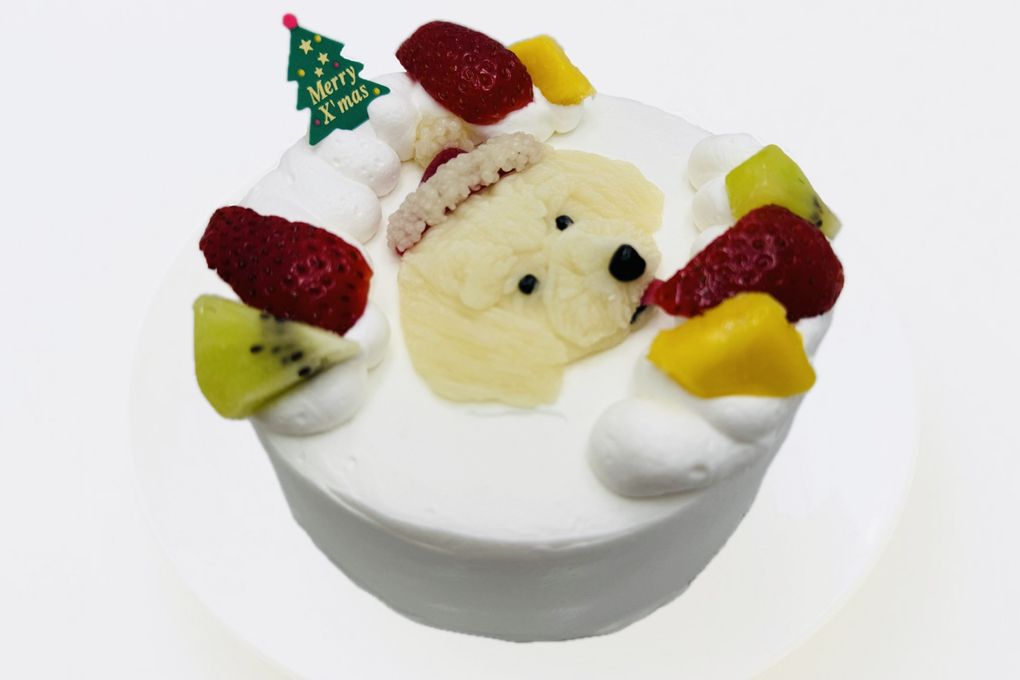 写真がそのままお顔に！クリスマスわんこ立体ケーキ 6号 18cm オフ会用 クリスマス2024 3